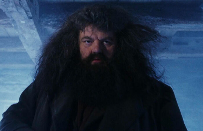 Rubeus Hagrid comes to take Harry Potter from Harry Potter and the Philosopher's Stone