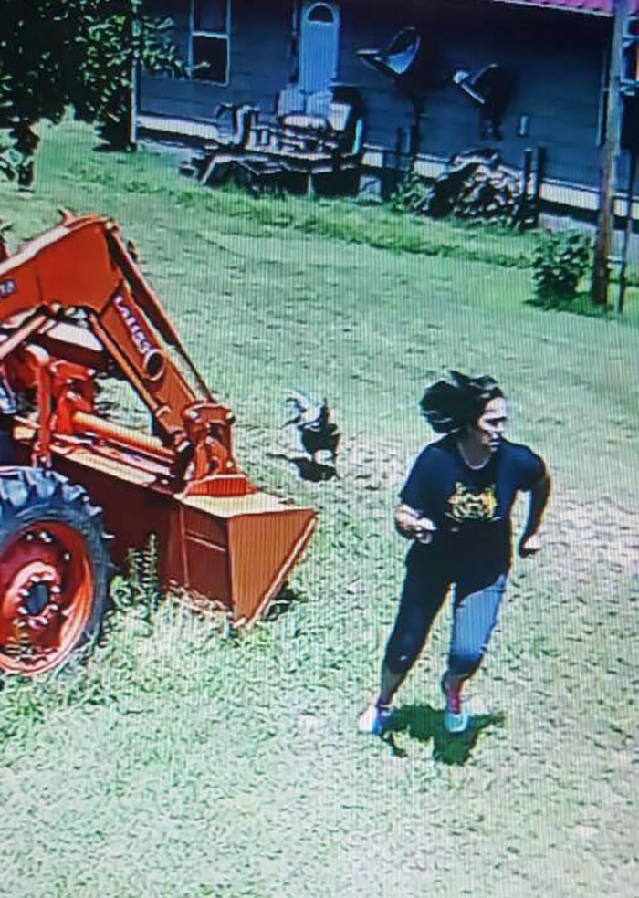 Mom Told Me The Rooster Was After Her Today. I Had To Check Security Cameras To Verify
