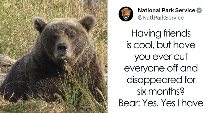 National Park Service Hired The Perfect Social Media Person As Their Tweets Are Hilarious (50 New Pics)
