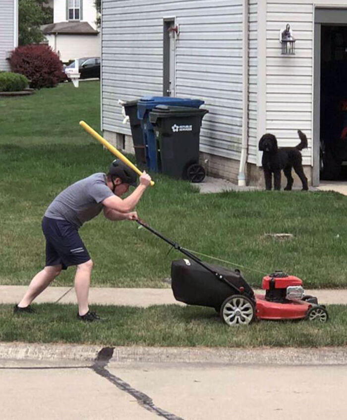 Birds Have Been Harassing The Neighborhood, So This Is How My Neighbor Has To Mow His Lawn