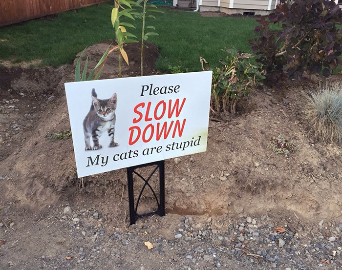 This Sign Recently Appeared In My Neighborhood