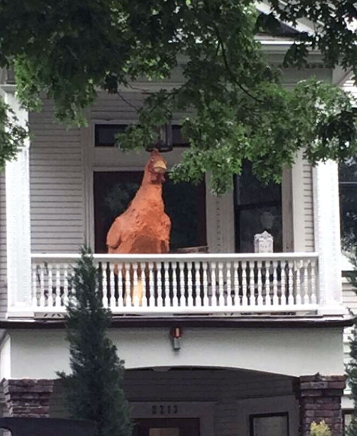 My Neighbor Has A Giant Chicken On His Porch