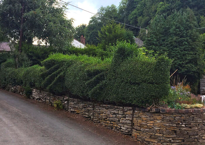 My Neighbor Cuts His Hedge Into A Dragon