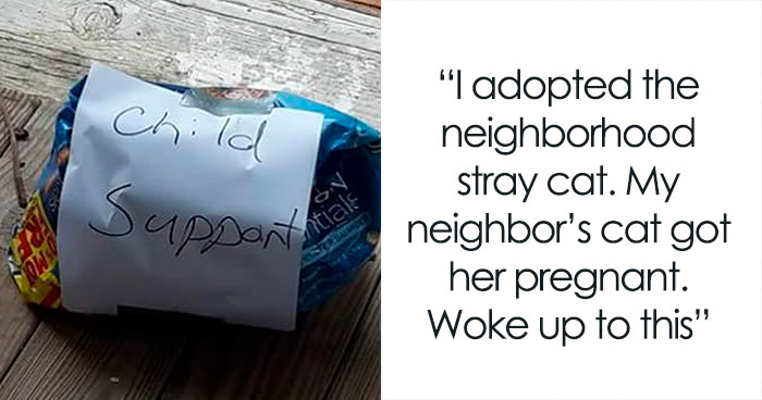 50 People Whose Lives Are Never Boring Because Of Hilarious Neighbors (New Pics)