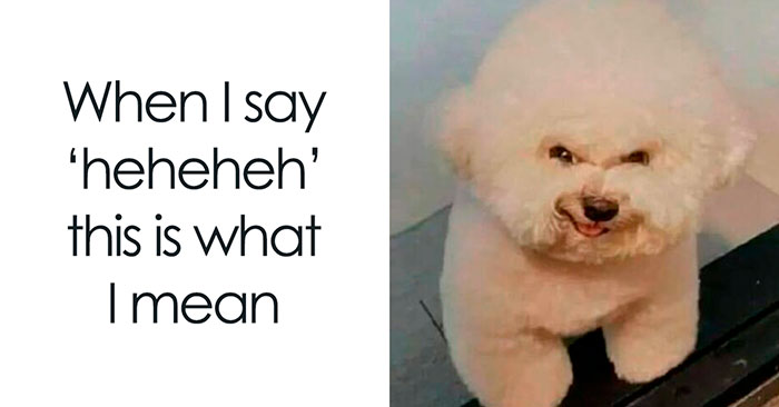 50 Hilarious Spot-On Memes To Make You Giggle, As Shared On This Facebook Group