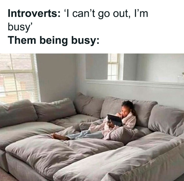 Funny-Relatable-Introverts-Are-Awesome-Memes