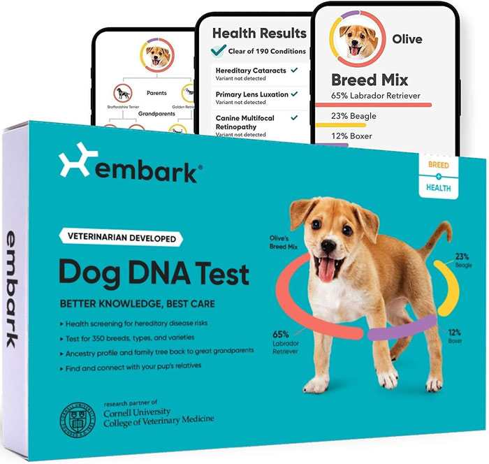 Embark Breed & Health Kit - Dog Dna Test: With not only the most precise breed identification but also hundreds of insights into genetic health risks, because everyone deserves to know how to best care for their fluffy friend and this is honestly the perfect way to have all the answers.