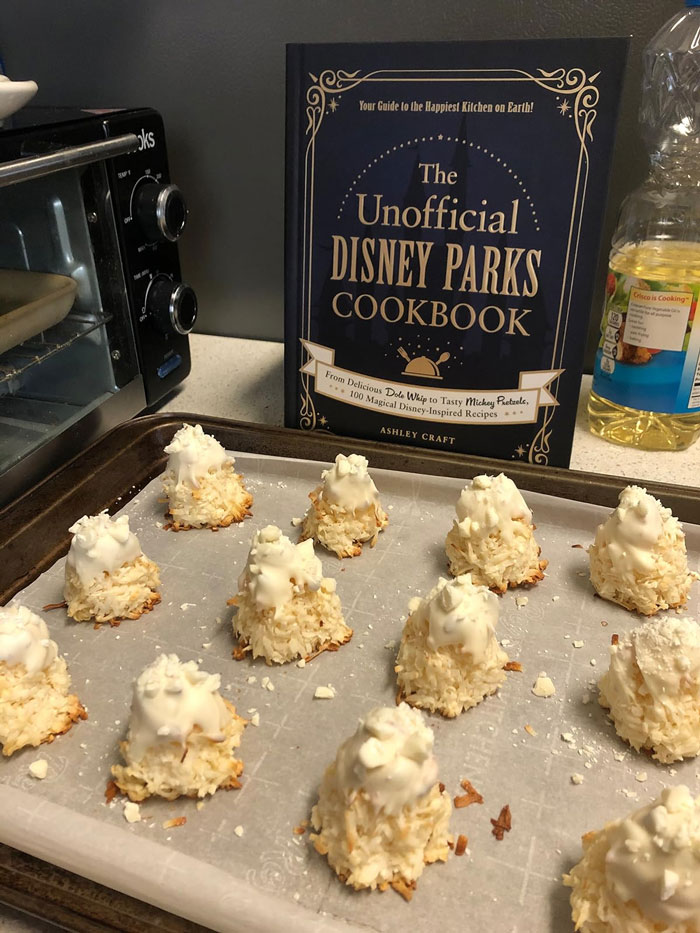 The Unofficial Disney Parks Cookbook: Because who wouldn't want to whip up Disney magic in their own kitchen? It's a timeless treat whether you're a lifelong Disney fan or just a snack aficionado.