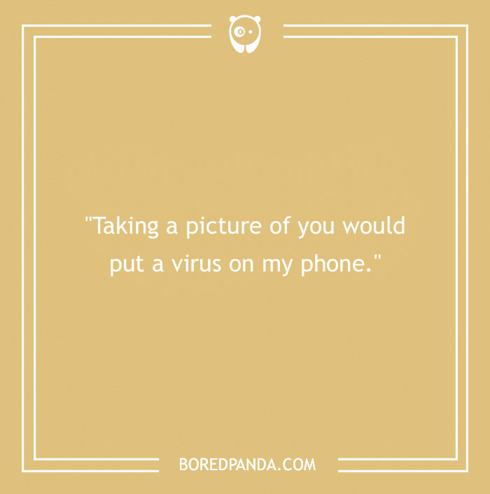 Epic comeback text: "Taking a picture of you would put a virus on my phone," on a yellow background with Bored Panda logo.