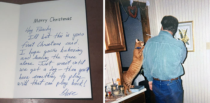 My Parents Were Long-Distance Up Until 8 Months Into Their Marriage, So They Used To Mail Each Other Constantly. Today, I Found Out That My Dad Used To Mail Our Cat Too
