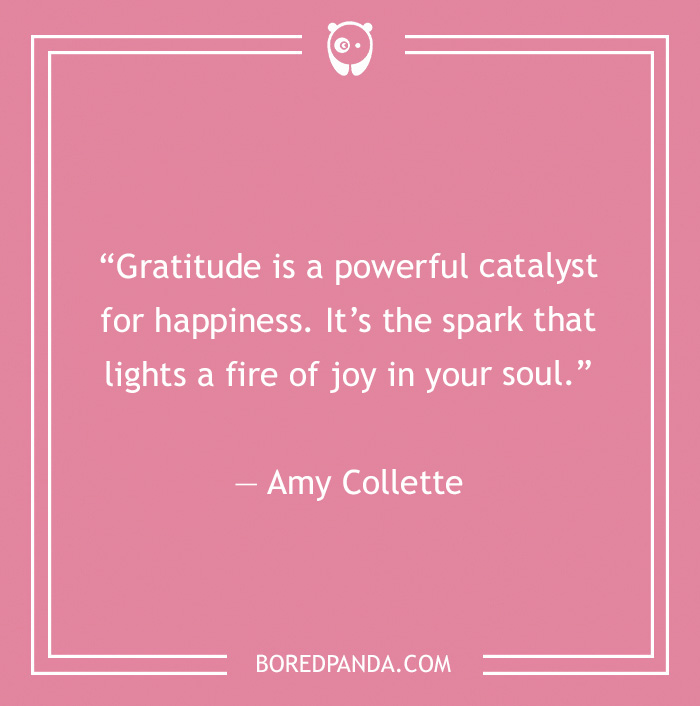 Amy Collette quote on gratitude and happiness 