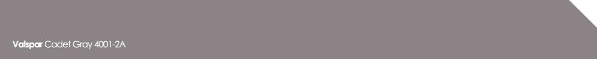 Valspar Cadet Gray 4001-2A Valspar Cadet Gray 4001-2A
