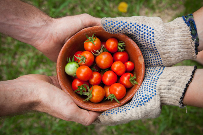 People holding a bowl with tomatoes 