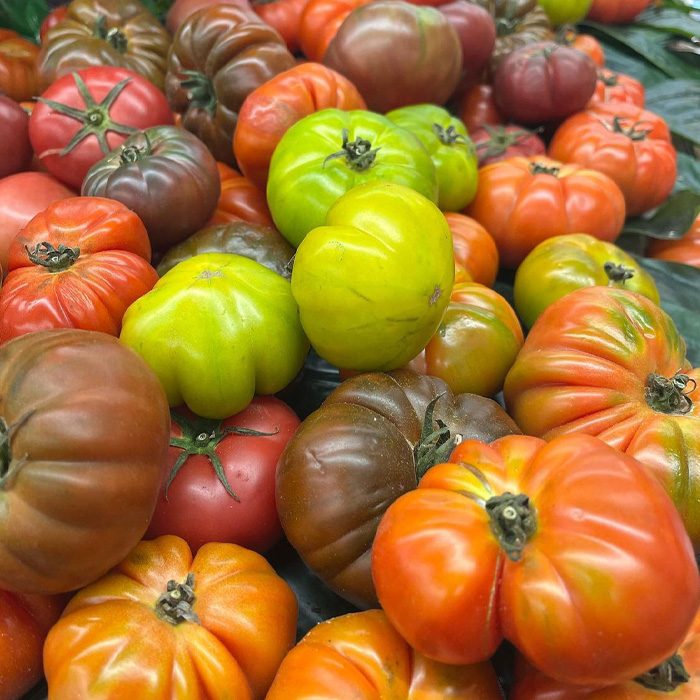 Heirloom tomatoes in different colors 