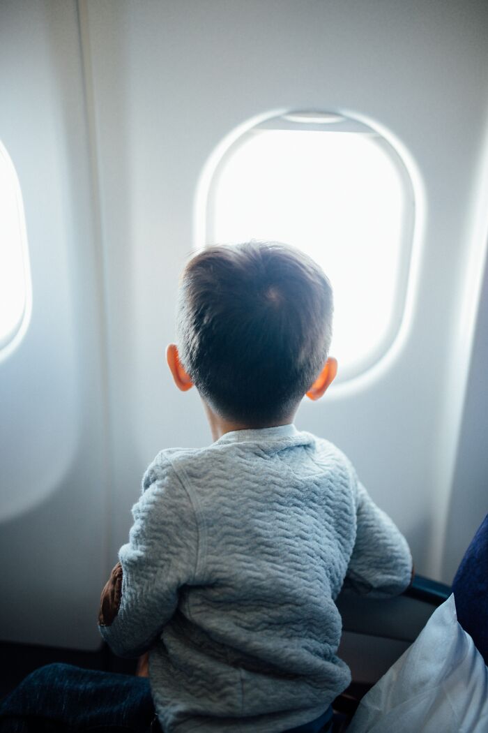 “They Behave Better” New Survey Shows That People Prefer Pets Over Children On Planes