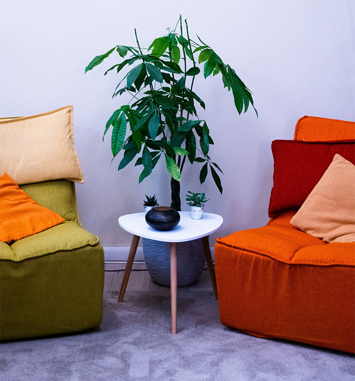 A lilac room with a green plant in the middle and an orange and green chair on either side