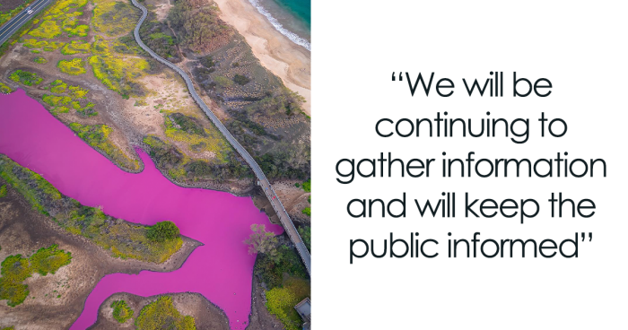Hawaii Reservation Officials Puzzled By Pond Turning Mysteriously Pink