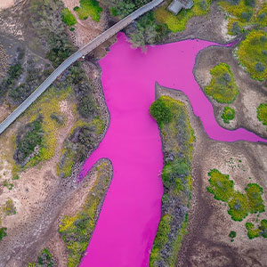 Hawaii Reservation Officials Puzzled By Pond Turning Mysteriously Pink