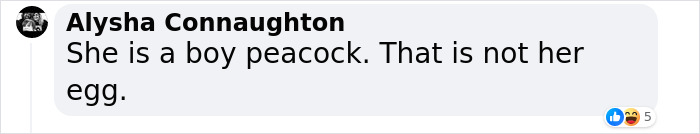 Husband Tom Kaulitz Completely Stole Spotlight From Heidi Klum’s Peacock Costume At Her Epic Halloween Party Husband Tom Kaulitz Completely Stole Spotlight From Heidi Klum’s Peacock Costume At Her Epic Halloween Party