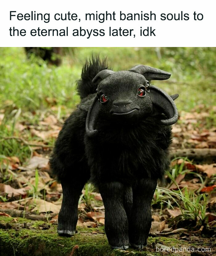 Creepy-Memes-Creepyholics