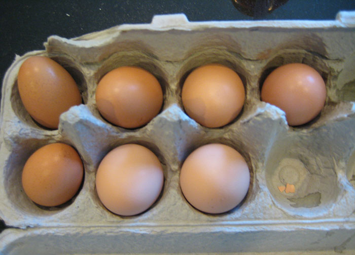 "AITA For 'Poisoning' Housemate Who Ate My Food Without My Permission And Ended Up In The ER?" "AITA For 'Poisoning' Housemate Who Ate My Food Without My Permission And Ended Up In The ER?"