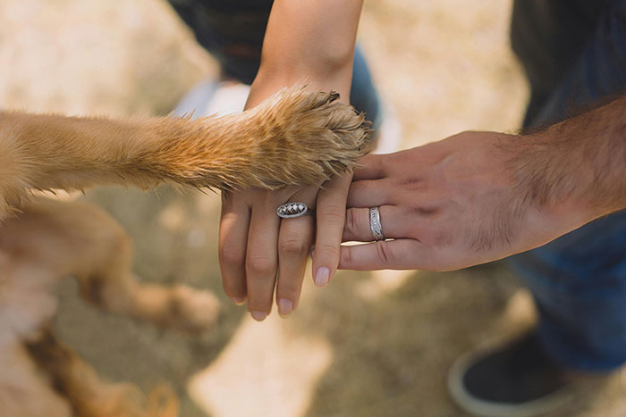 two people and a dog touching their hands 