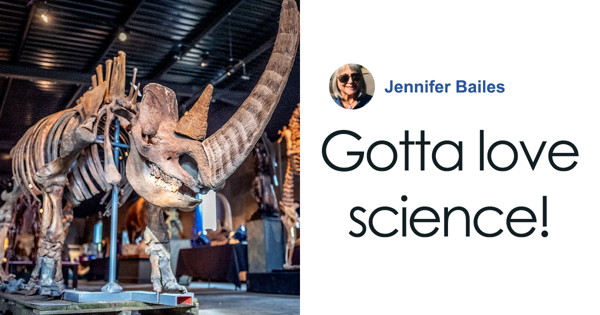 Scientists Bring Wooly Rhinoceros Back To Life With The Help of Prehistoric Fecal Matter