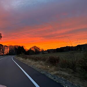 ashleybrown_5 avatar