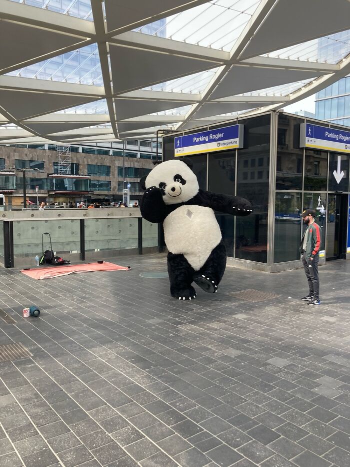 A Silly Dancing Panda
