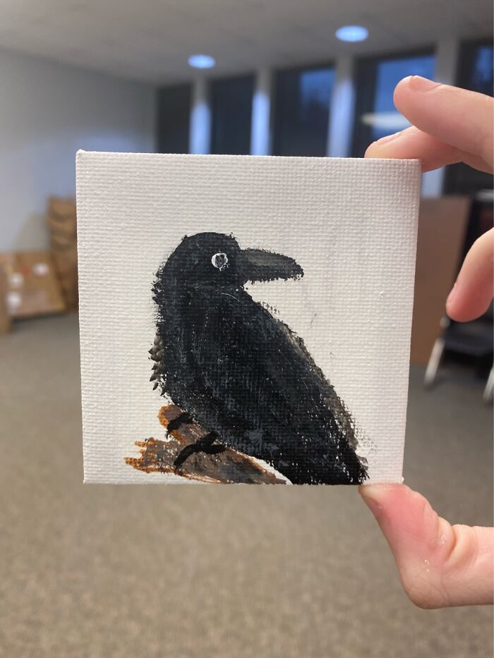 This Little Crow!