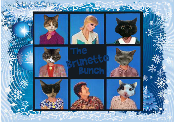 Show Your Holiday Cards Of Your Animals