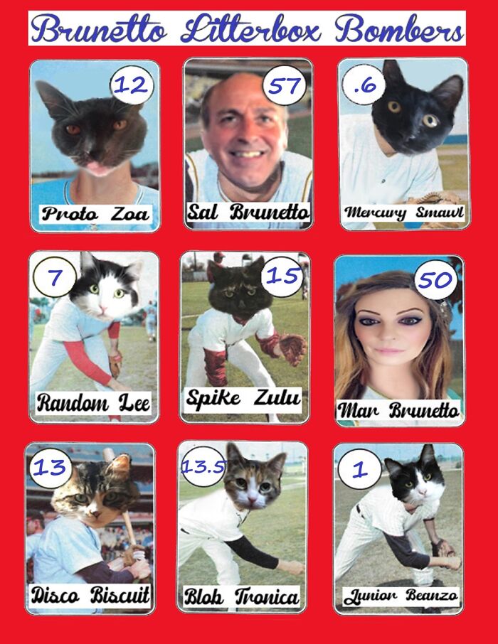 Show Your Holiday Cards Of Your Animals Show Your Holiday Cards Of Your Animals