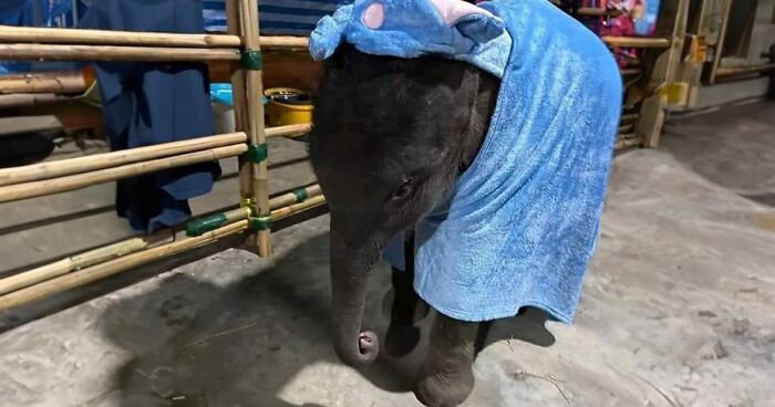 50 “Important Animal Images” That Deserve Your Attention, Shared On This Facebook Page (New Pics)