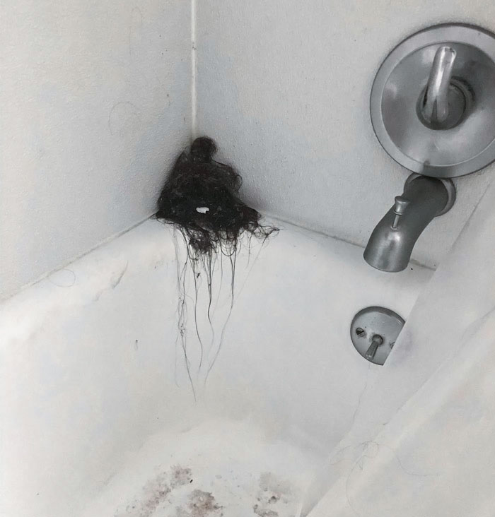 Fui a casa de una compañera de clase a hacer un trabajo y esta montaña de pelo en su baño me atormenta desde entonces