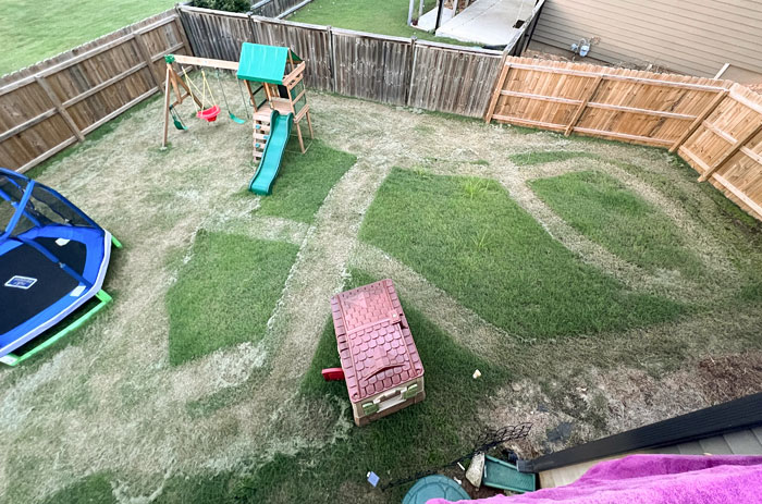 Happily Obliged When My Wife Said She Would Mow The Grass