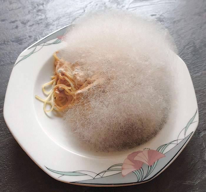 I Forgot Spaghetti With Mushrooms In The Microwave For A Week. Now It's A Fluffy Ball Of Mold