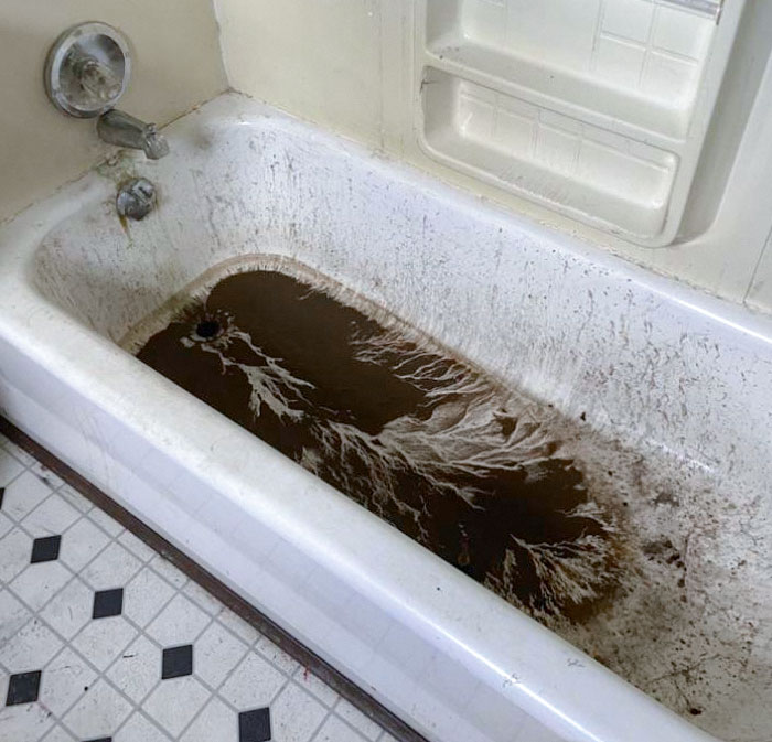 The Plumber Left My Tub Like This After He Fixed The Sink