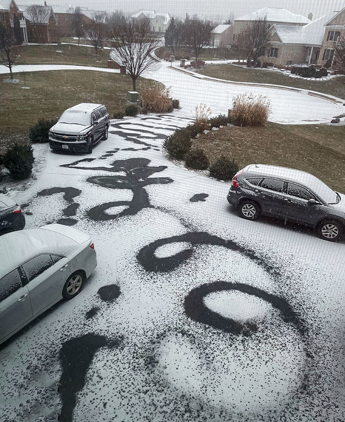 My Brother "Salted" The Driveway
