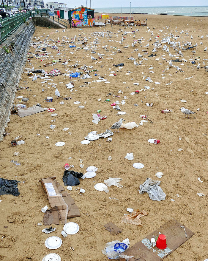 I Went To Snap The Beach At Margate And Wish I Hadn't. Is It Because The Council Are Not Putting Bins On The Beach, Or Is Lazy Visitors At Fault? Either Way It's An Utter Disgrace