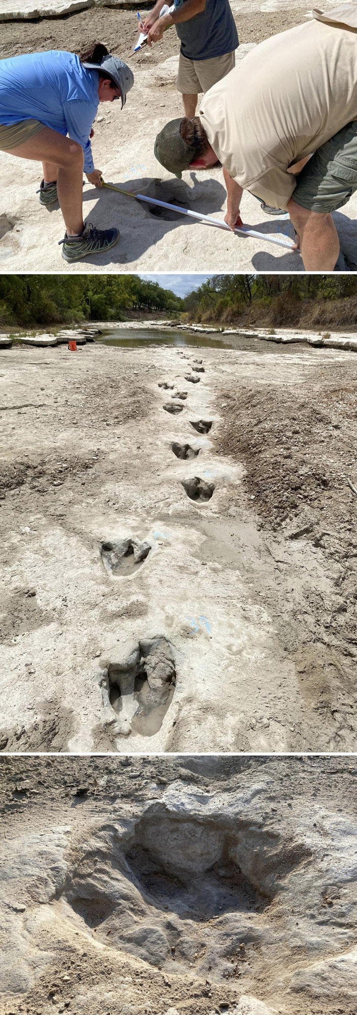 Amid A Drought, The Dinosaur Valley State Park Has Discovered Dinosaur Footprints That Have Historically Been Covered By Water And Sediment. They Date Back More Than 113 Million Years