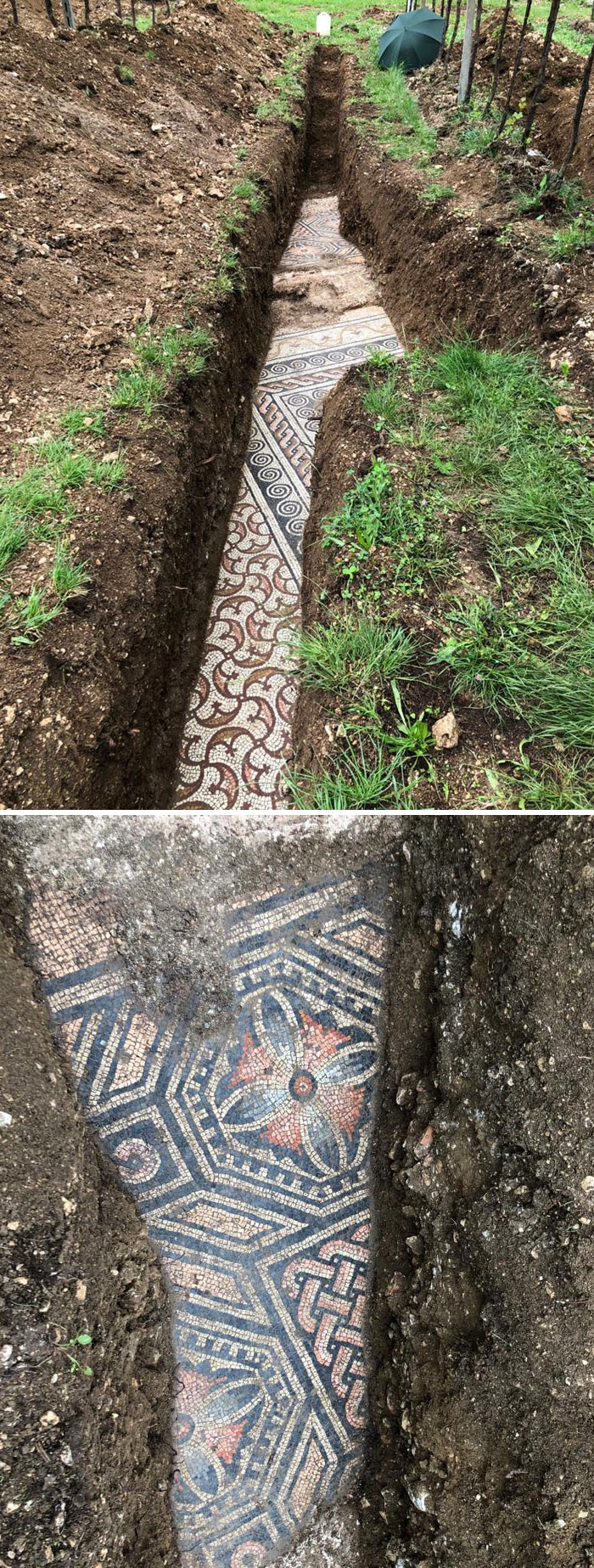 Mosaics Of A Roman Villa Were Found Under A Vineyard In Negrar, Italy