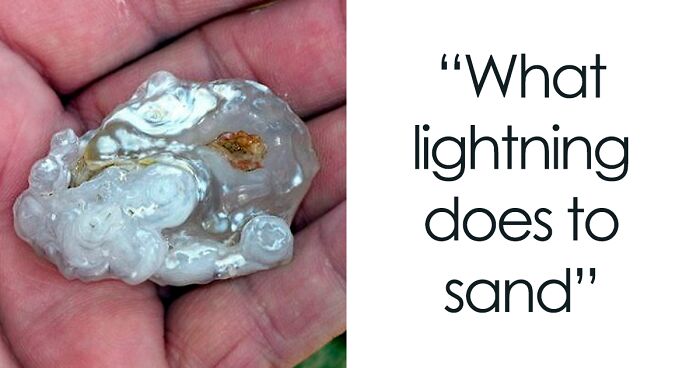 50 Times People Learned Something So “Fascinating” They Had To Share With Others