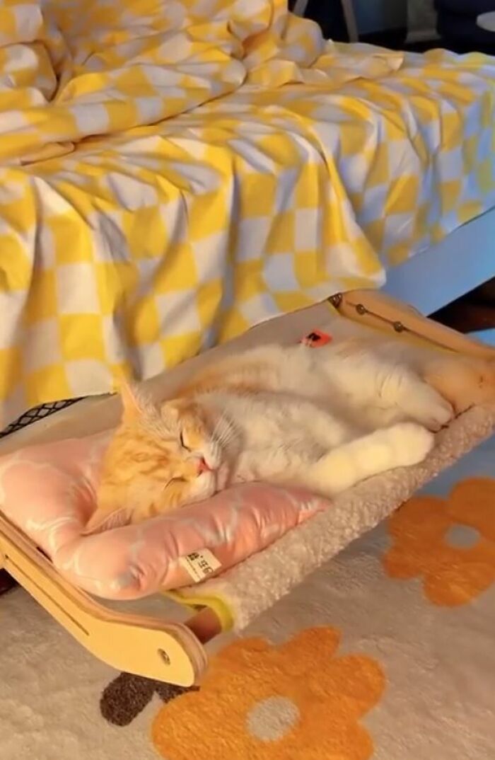 Attachable Cat Bed