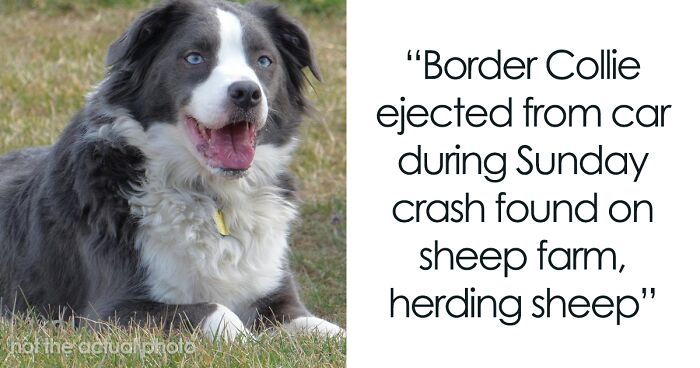 50 Pieces Of ‘Uplifting News’ From 2023 For Those Who Are Fed Up With The Bad News