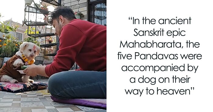 In This Annual Nepalese Festival, Dogs Get Pampered For Being God’s Messengers