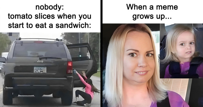 50 Funny Memes That You Might Find Painfully Relatable | Bored Panda