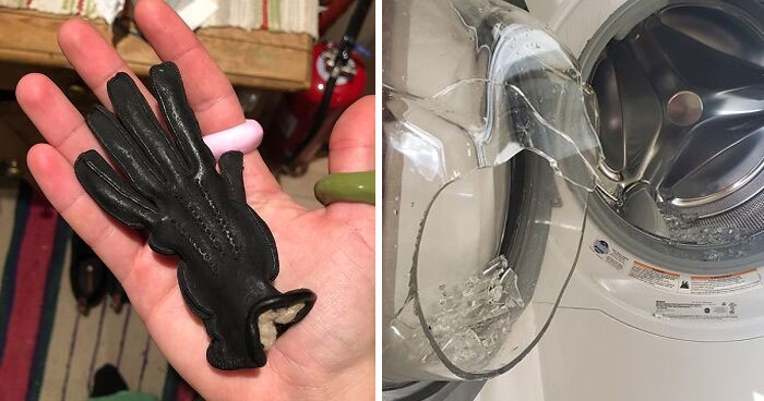 50 Times Doing Laundry Got Extra Exciting And Ended In These Happy Accidents