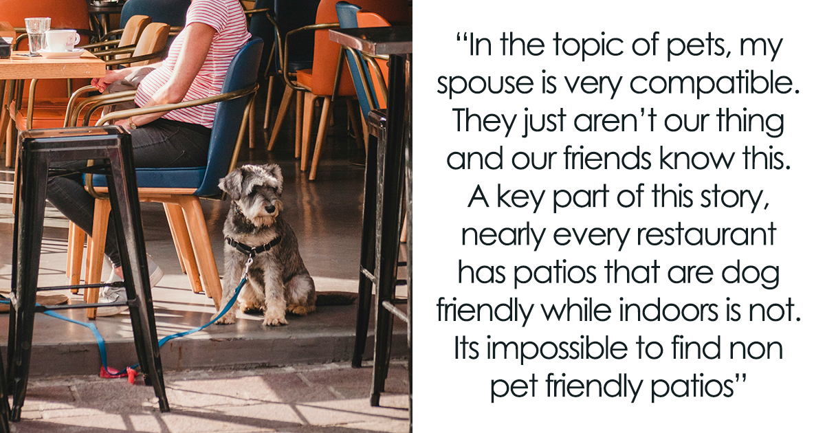 "[Am I The Jerk] For Leaving When Our Friends Brought Their Dog To Dinner?" - Vimarsana News
