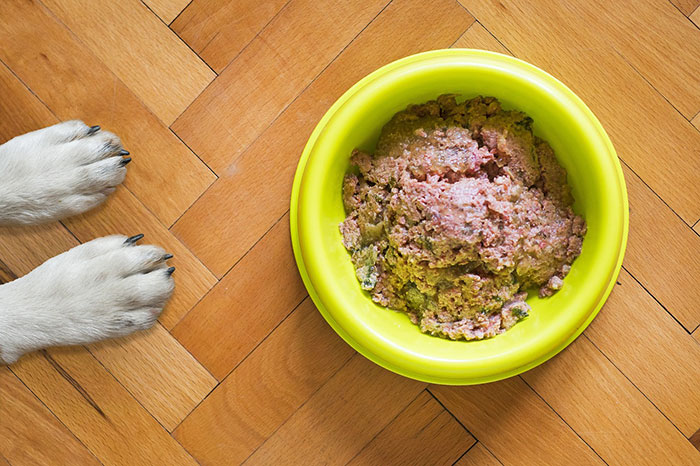 Dog's paws beside a yellow bowl of liver on a wooden floor. Dog's paws beside a yellow bowl of liver on a wooden floor.