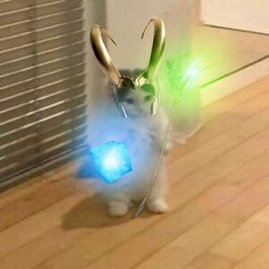 adrienne-song12 avatar